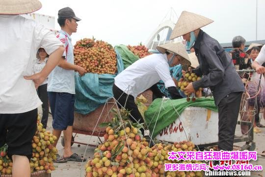 中国到越南进荔枝，荔枝不能和什么一起吃