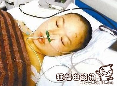 为救女童遭狗咬案，救女童被狗咬募捐造假事件