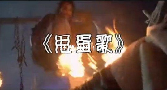 甩蛋歌：甩蛋歌2013歌词 神曲甩蛋歌爆红网络