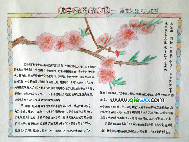 桃花节小报