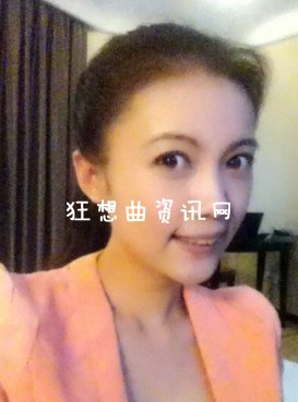 央视女记者艾婷婷图片个人资料简历艾婷婷低胸采访视频