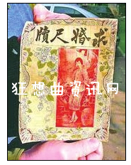 求婚尺牍：求婚尺牍汇编民国101篇求婚信件 皆文采飞扬