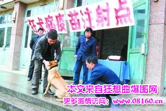 被狗咬患狂犬病的概率,狂犬病的早期症状